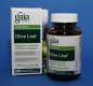 Olive Leaf 60 Capsules - Gaia Herbs