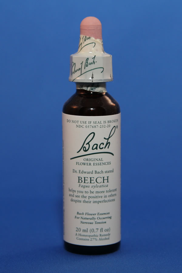 Beech 20ml - Bach