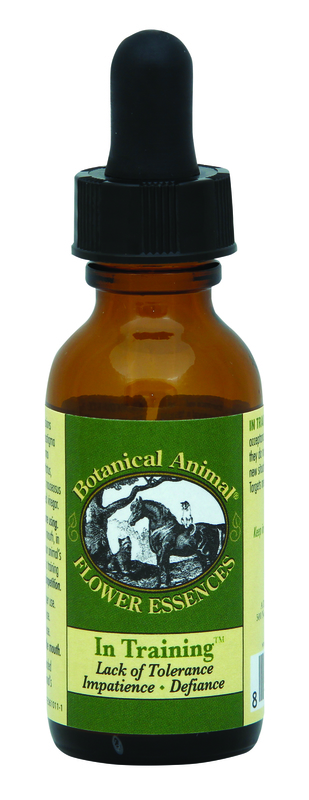 In Training - Click Image to Close